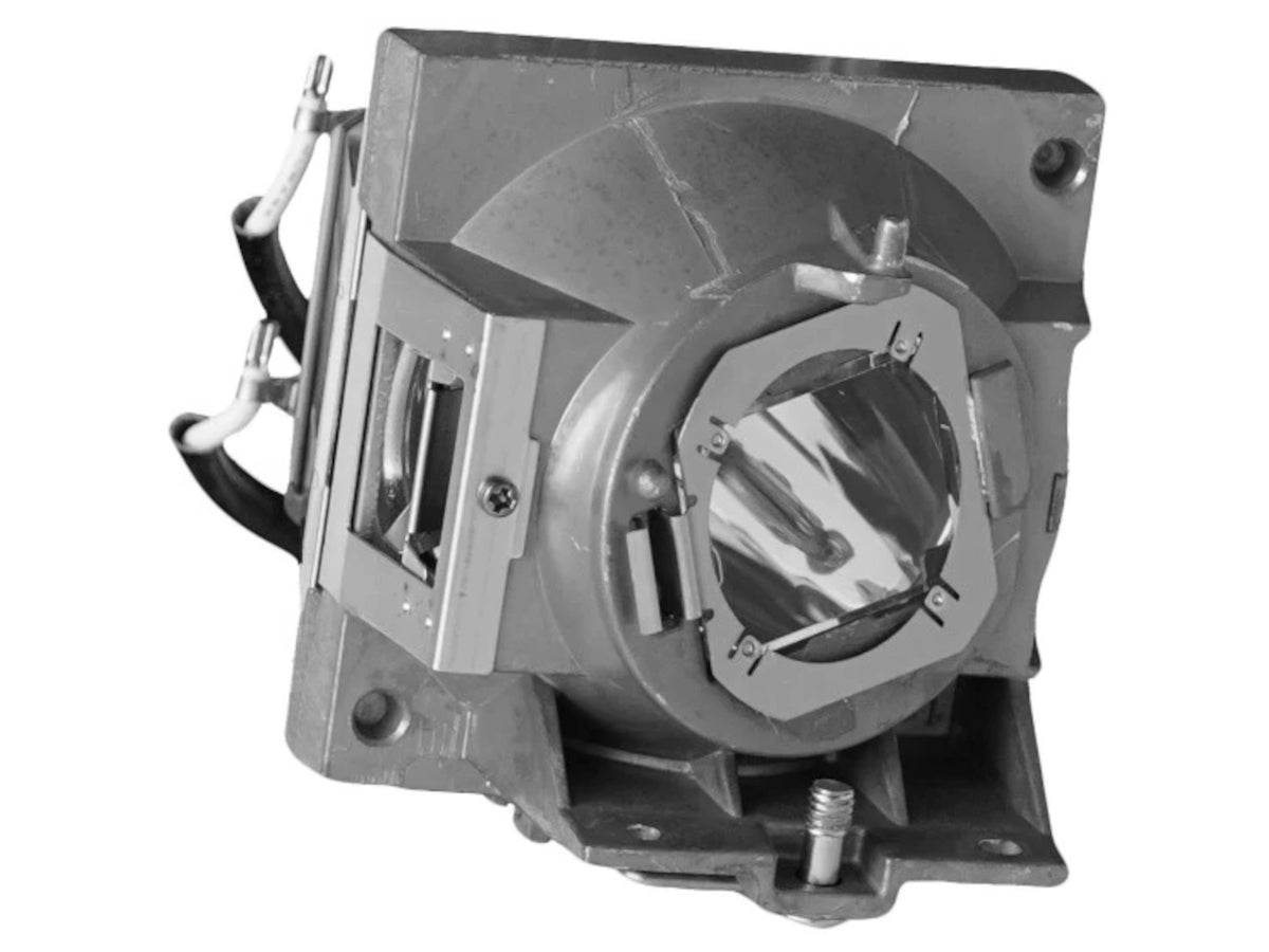 Cartuccia lampada originale BENQ 5J.JMG05.001 con supporto