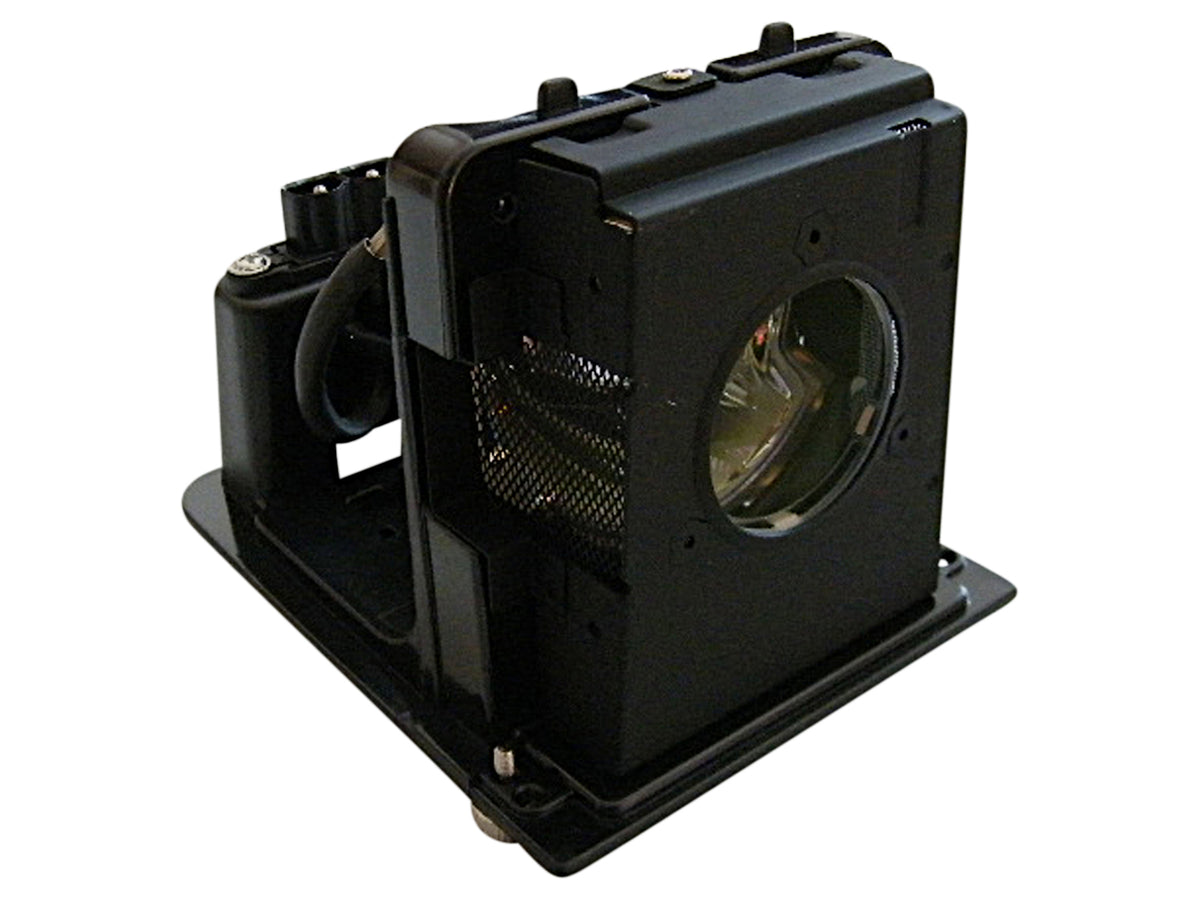 Cartuccia lampada OEM alta qualita' OPTOMA SP.L1301.001 SP.L3703.001 BL-FU250E BL-FU250F con supporto