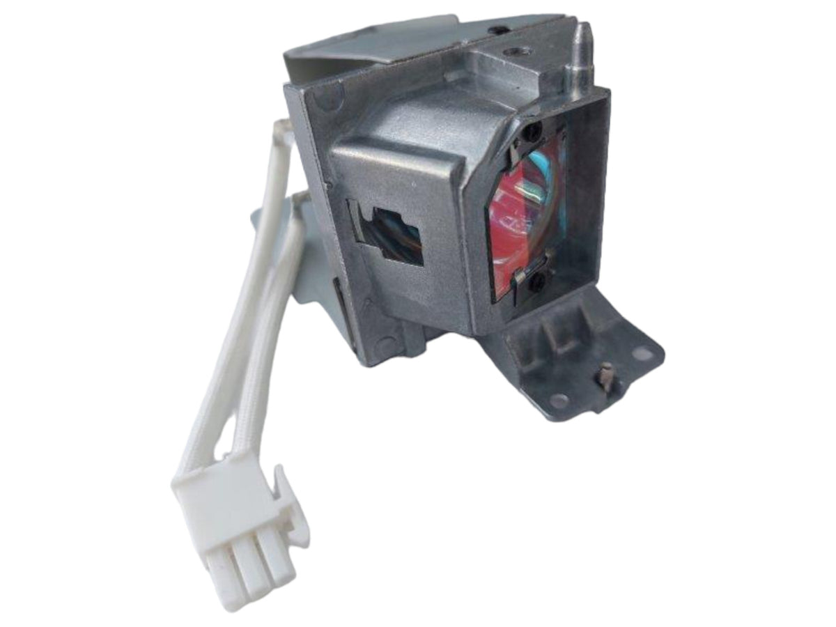 Cartuccia lampada originale OPTOMA SP.7D1R1GR01, BL-FP195D con supporto